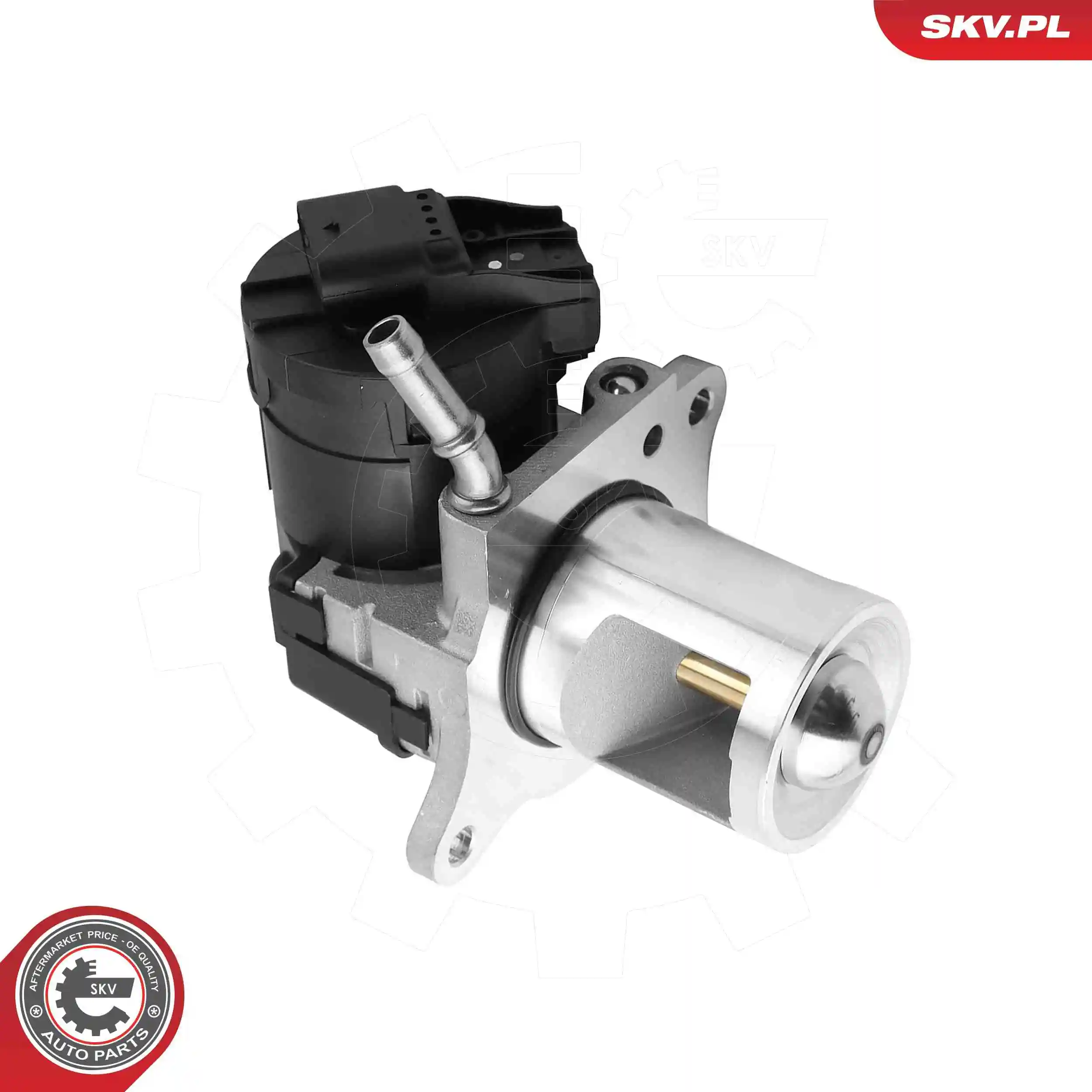 EGR Valve